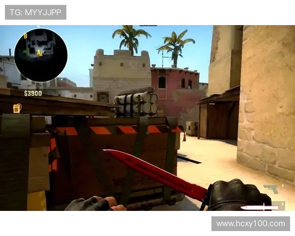 CSGO焦点分析V5选手个人能力及其对战局的影响探讨