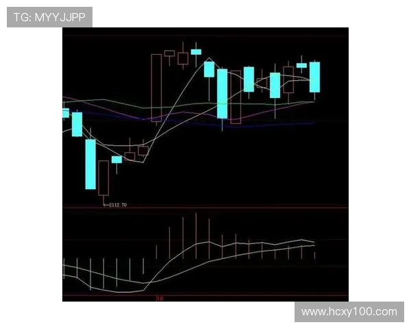北京排球队防守策略解析与战术创新探讨