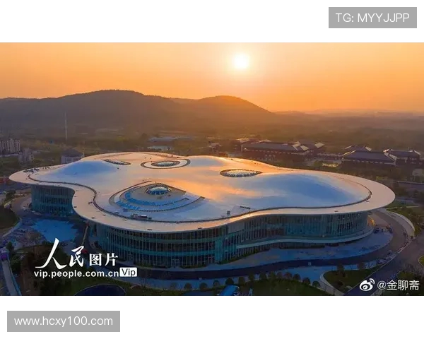 南京极限运动队的整体表现分析与未来发展方向探讨