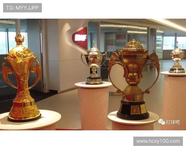 南京羽毛球队近期状态分析与表现评估全面解读