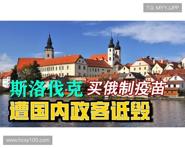 俄罗斯与斯洛伐克比赛盘口分析及投注建议详解