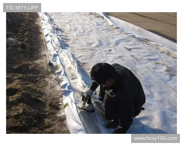 岗山绿雉与山形的生态对比探讨与保护策略研究