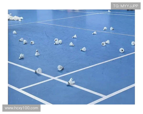 重庆羽毛球队战术实力强劲荣登全国羽毛球战术排行榜第九名