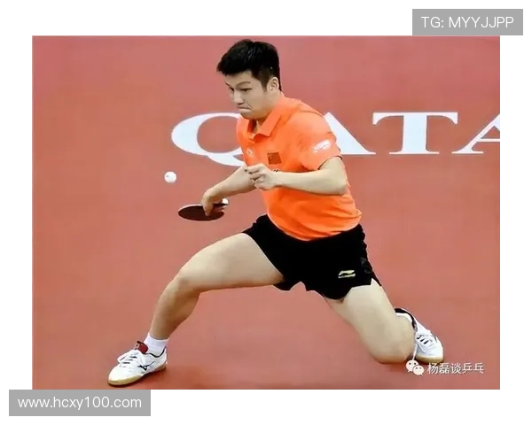 对话杨磊:回顾网球生涯的起伏与成就分享 对话杨磊:回顾网球生涯的起伏与成就分享