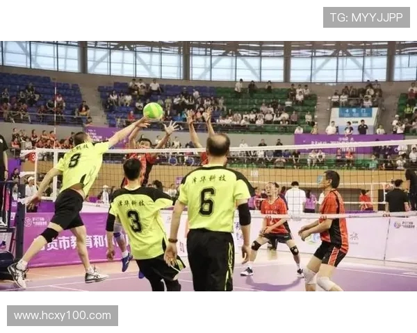 排球新手必看：提升耐力的全面入门攻略与训练技巧分享