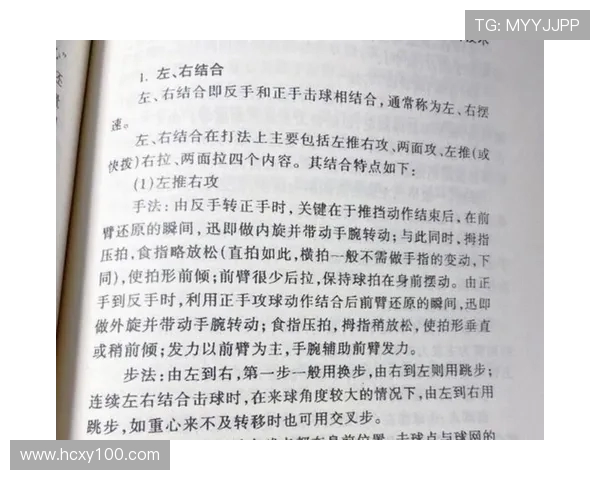 深入分析杭州乒乓球队控制打法的战术特点与应用策略