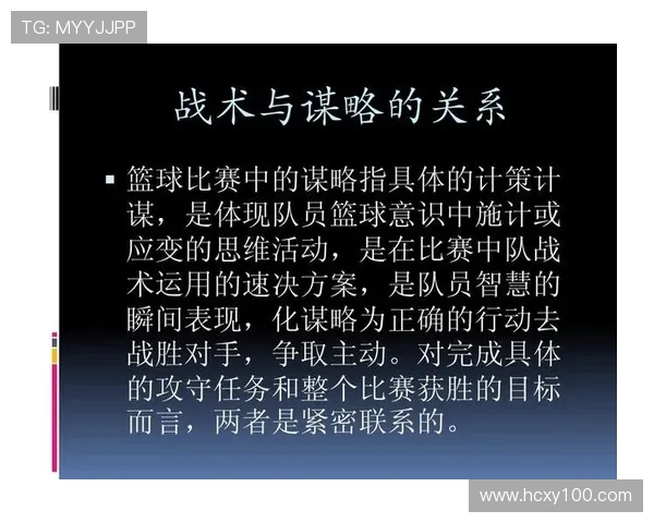 南京篮球队战术表现深度分析与数据解读探讨